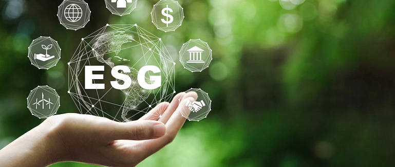Лишь пятая часть МФО работают в рамках ESG-повестки